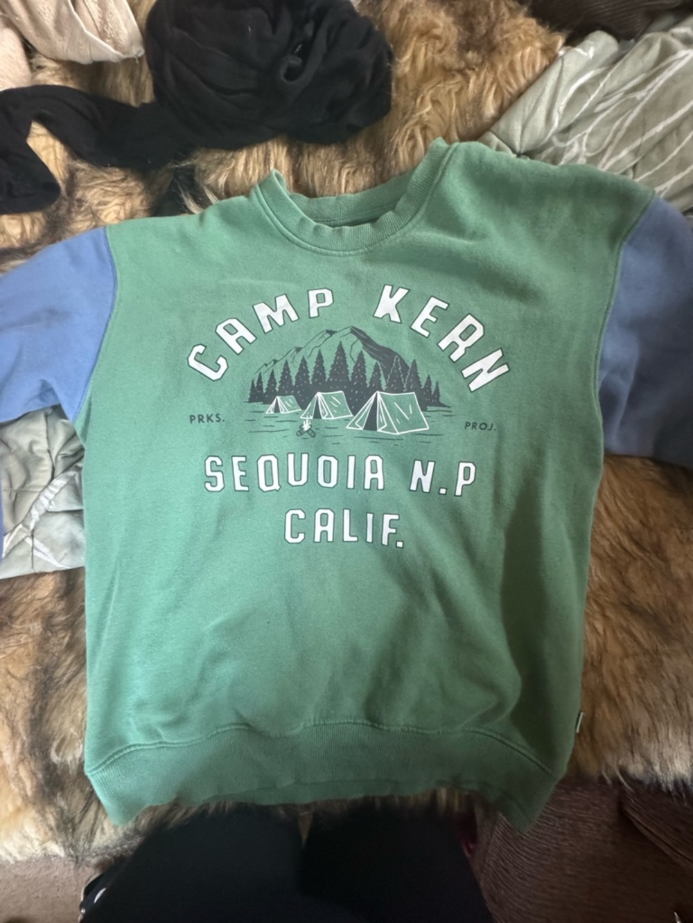 Parks Project Green Crewneck Sweatshirt with Light Blue Sleeves